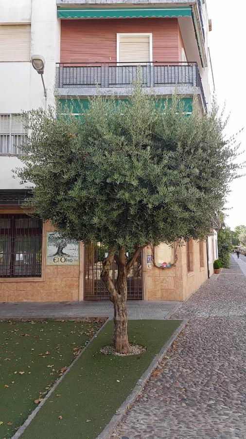 Fantastico Apartamento Junto A La Juderia Córdoba Eksteriør billede
